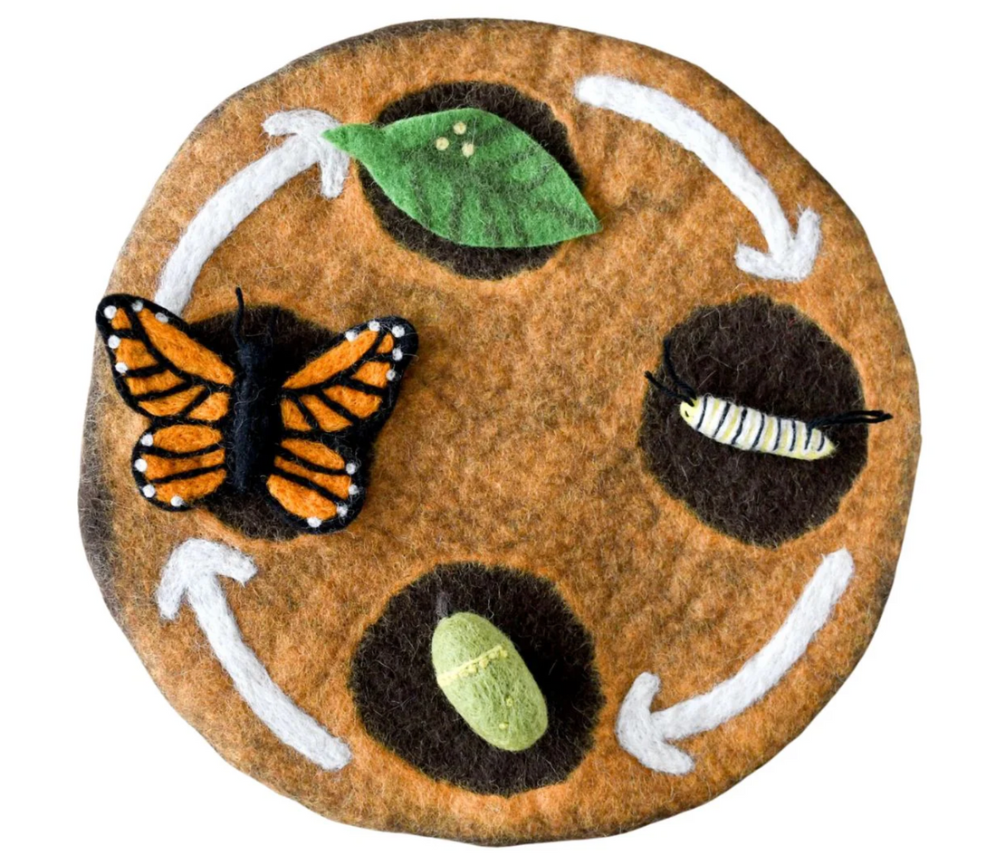 Tara Treasure Butterfly Lifecycle Toy