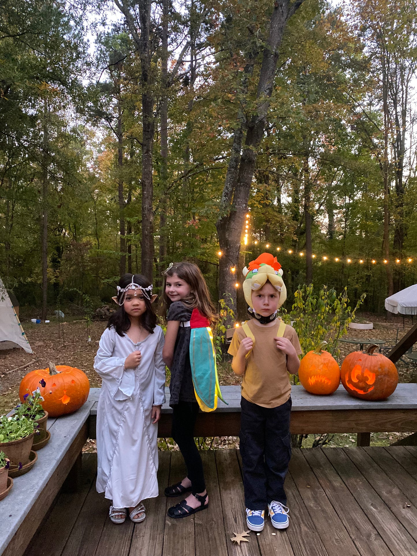 Firefly Wings Costume