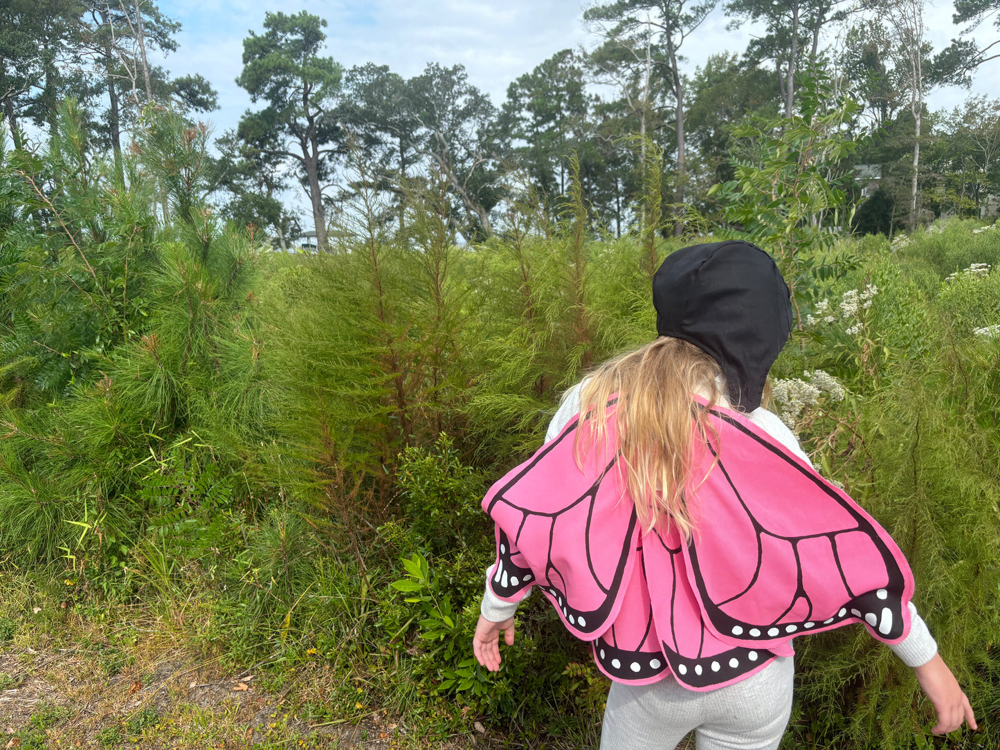 pink butterfly costume