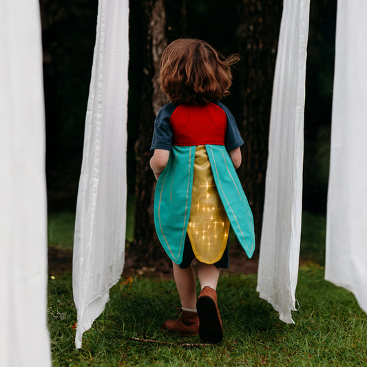 Firefly Wings Costume