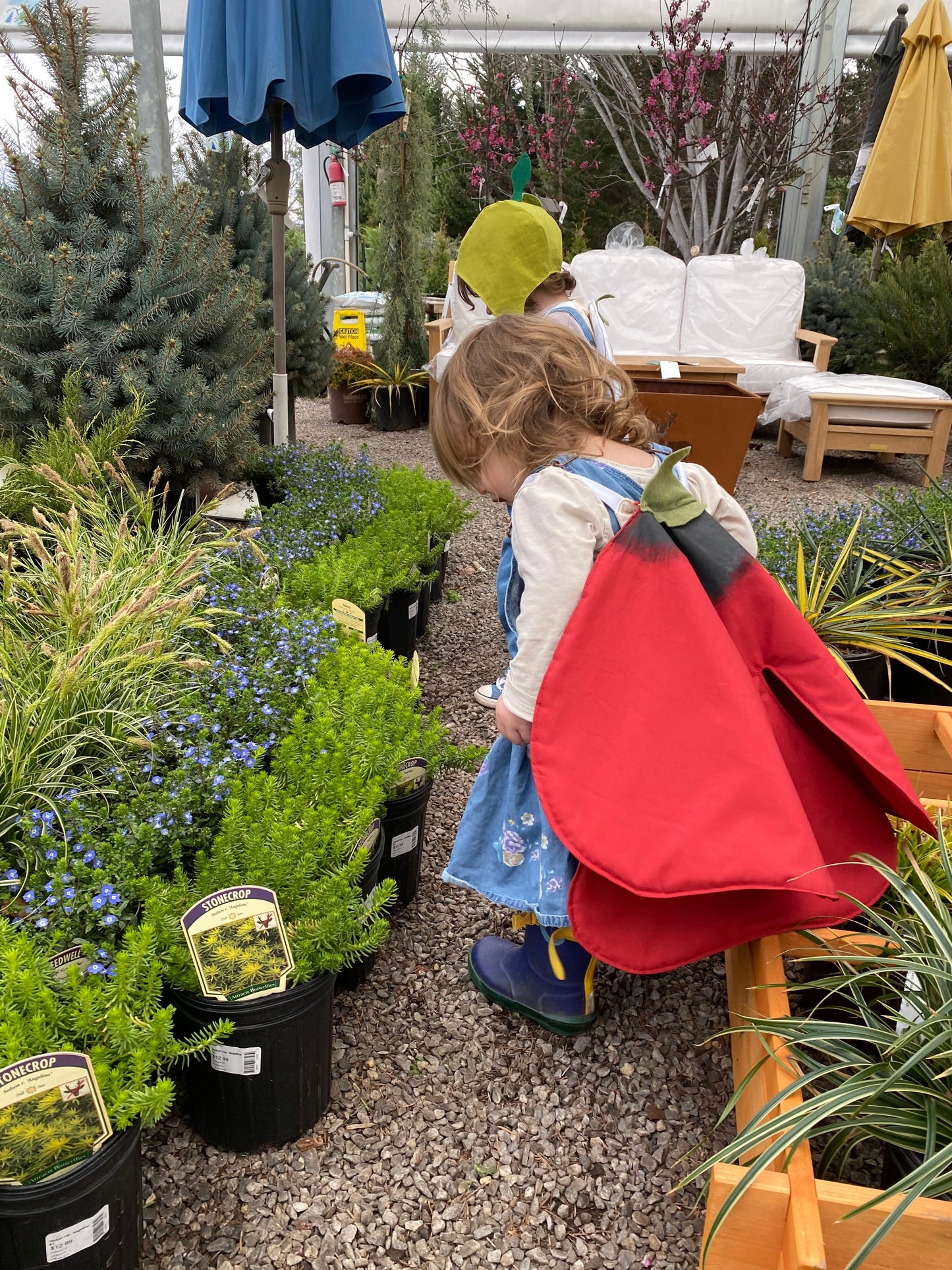 Garden center visit wearing flower costume wings.