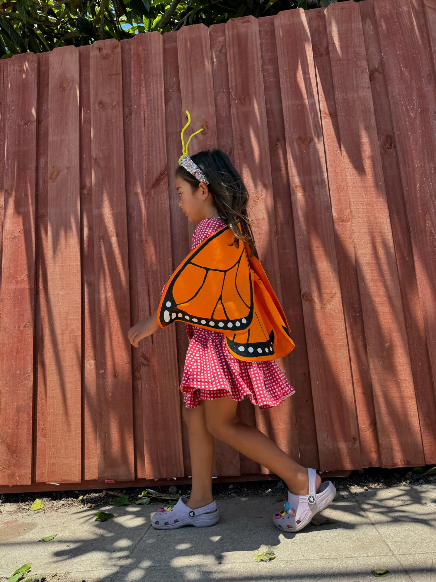 Monarch Butterfly Wings Costume