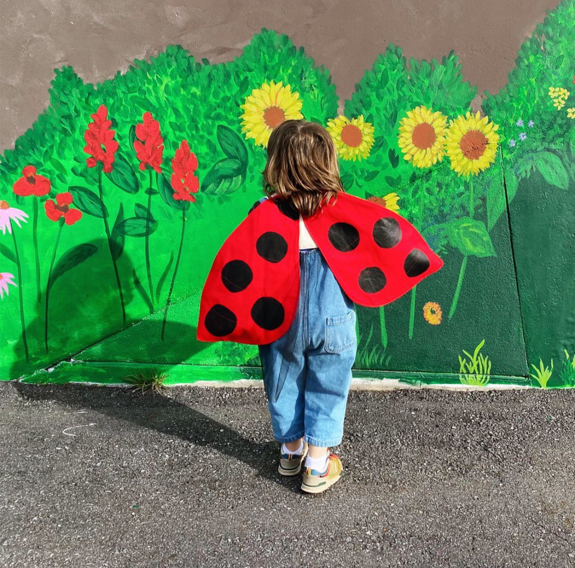 Ladybug Wings Costume