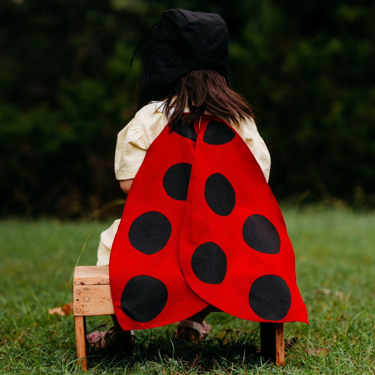 lady bug dresses Jack Be Nimble Ladybug Costume Wings picnic blankets Color:Sage Multi Floral 2019 bridesmaid dresses Floral Satin Long Dress
