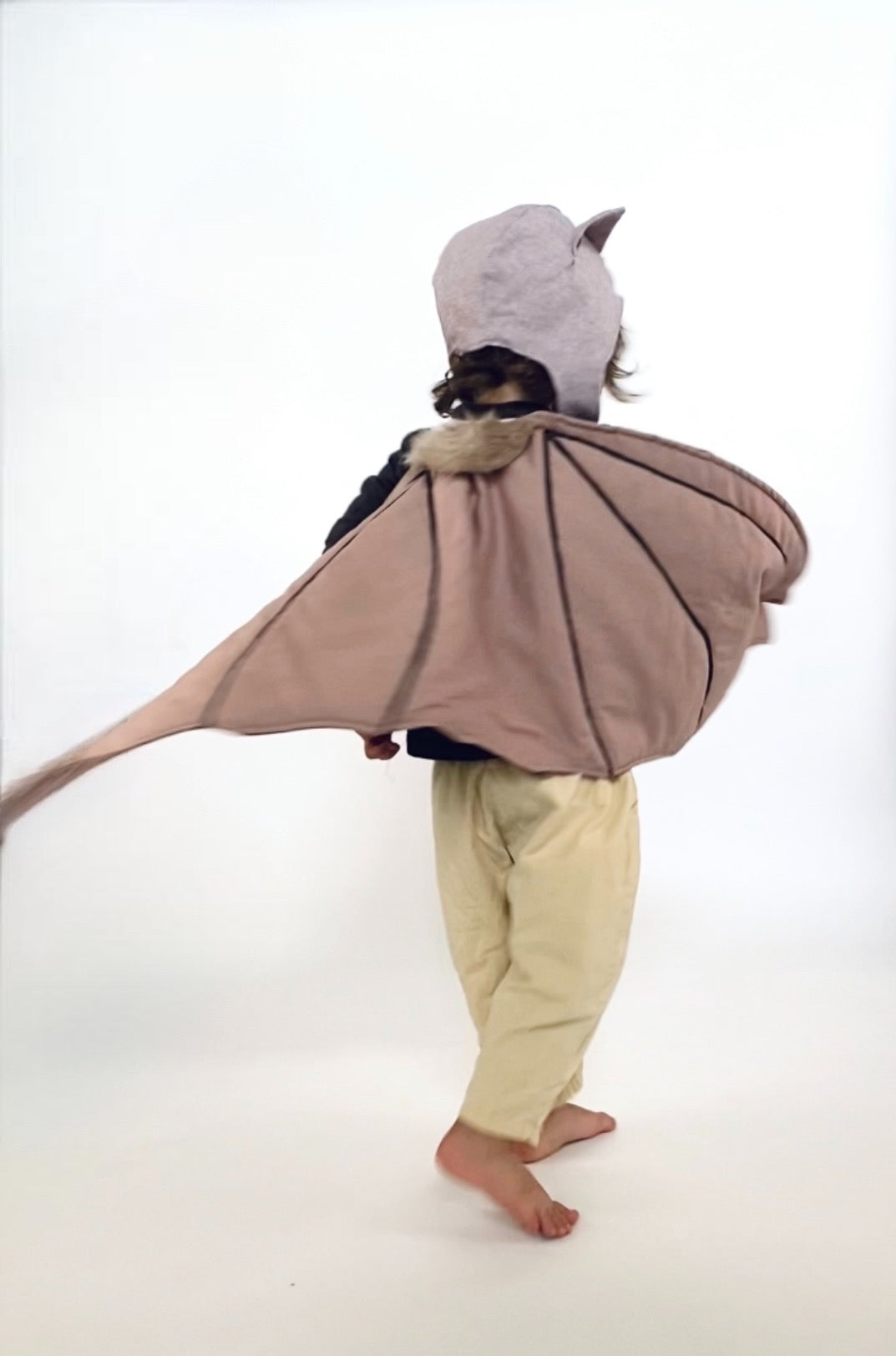 Boy wearing brown bat wings with hat.