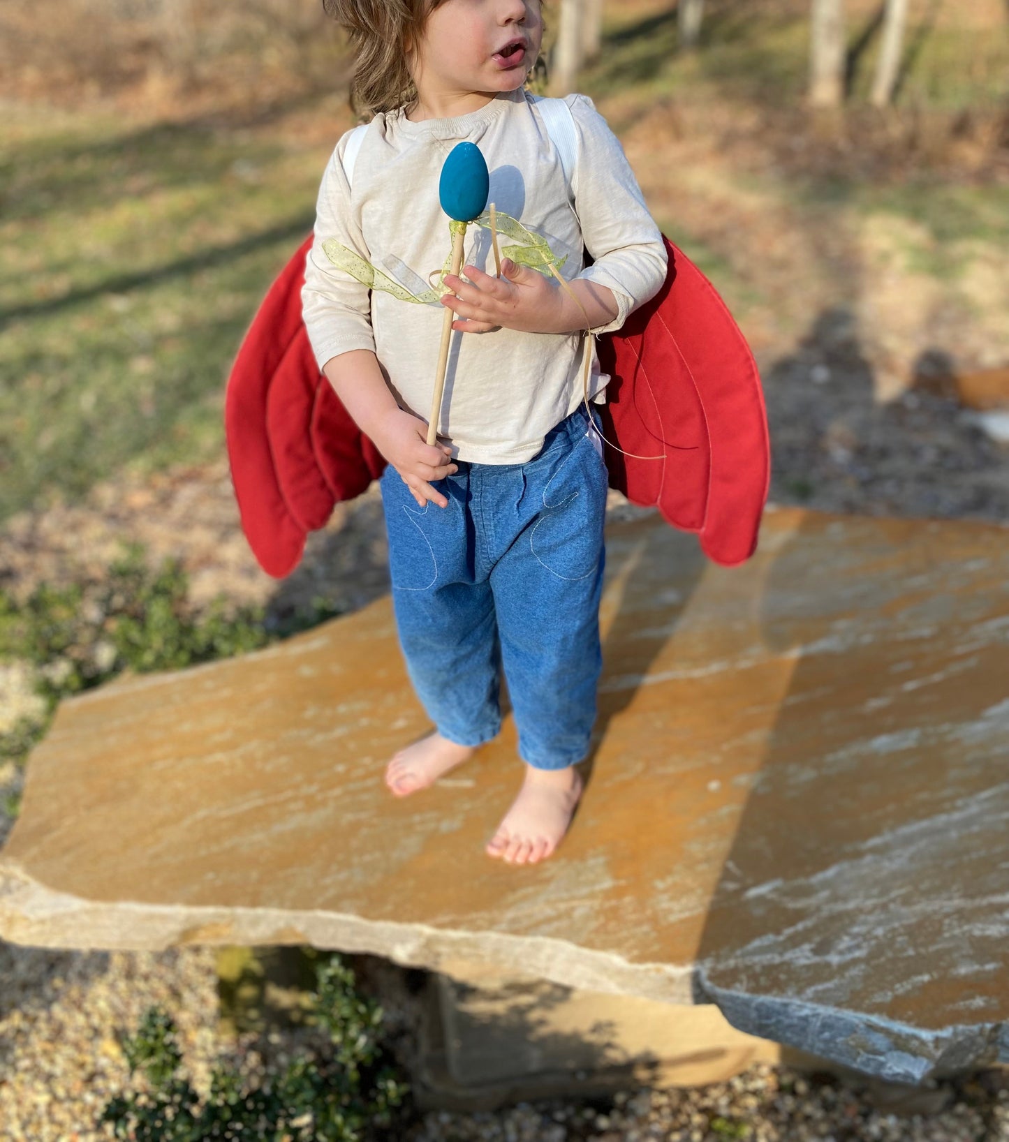 Child playing pretend with bird wings and egg wand.