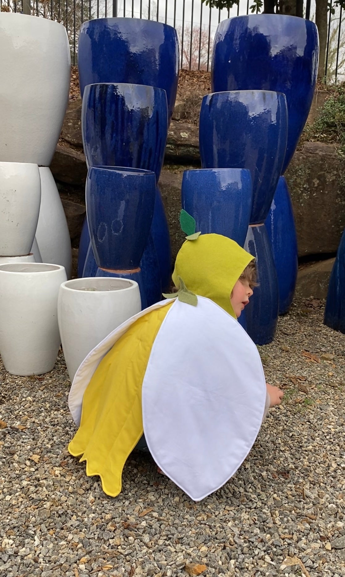 Boy wearing flower costume playing in nature.