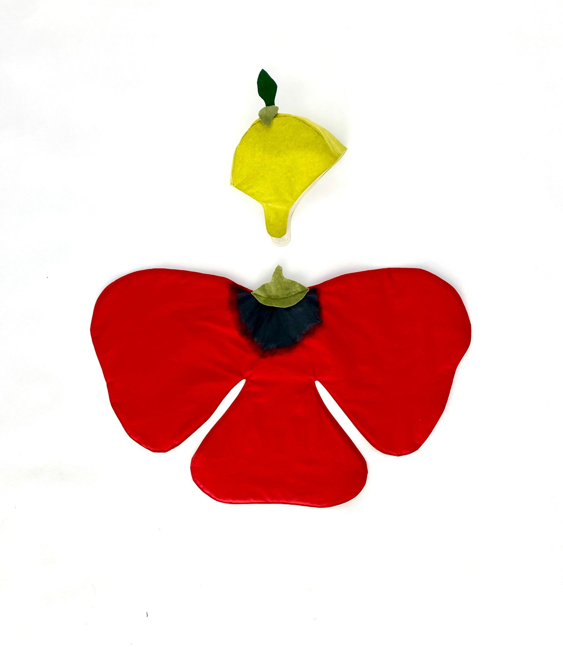 Flower costume and leaf hat for imaginative play.