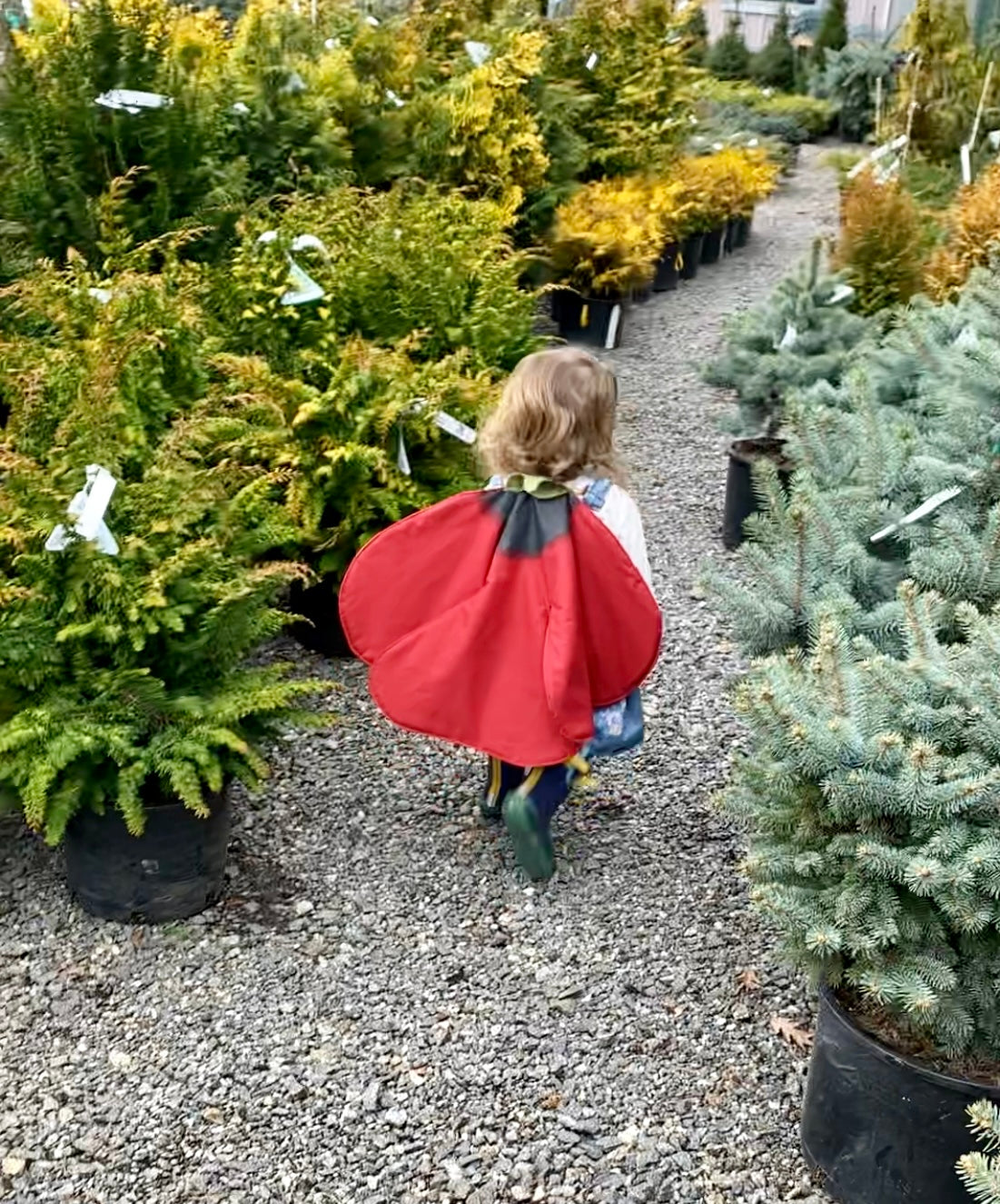 Girl wearing flower costume among plants.