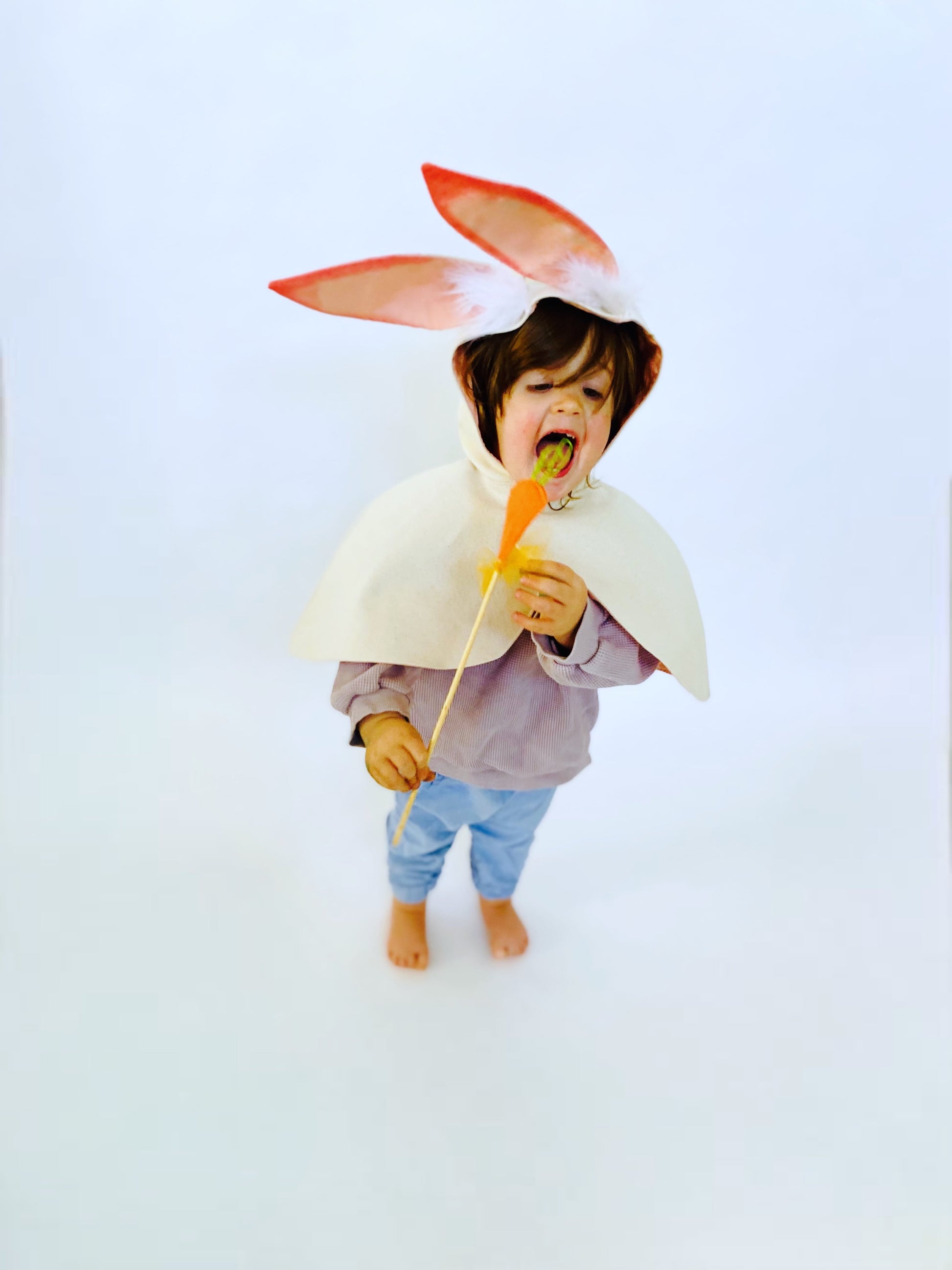 Carrot wand and Bunny Rabbit costume.
