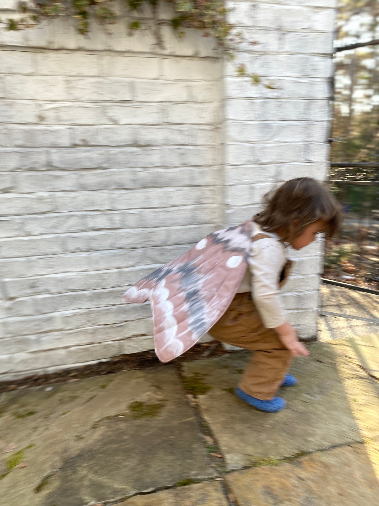 Gypsy Moth Costume Wings