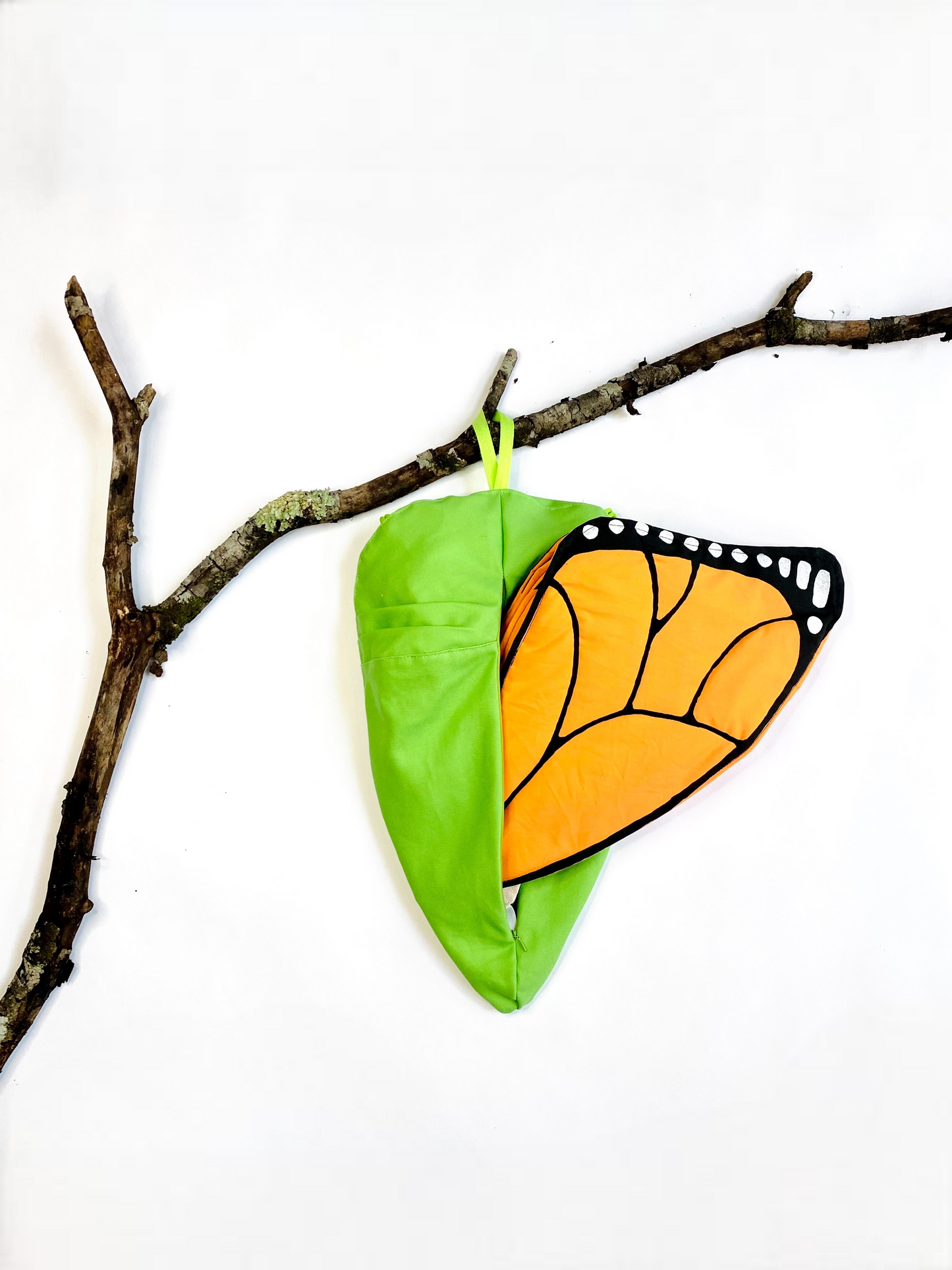 Educational butterfly toy showing the lifecyle of a butterfly.