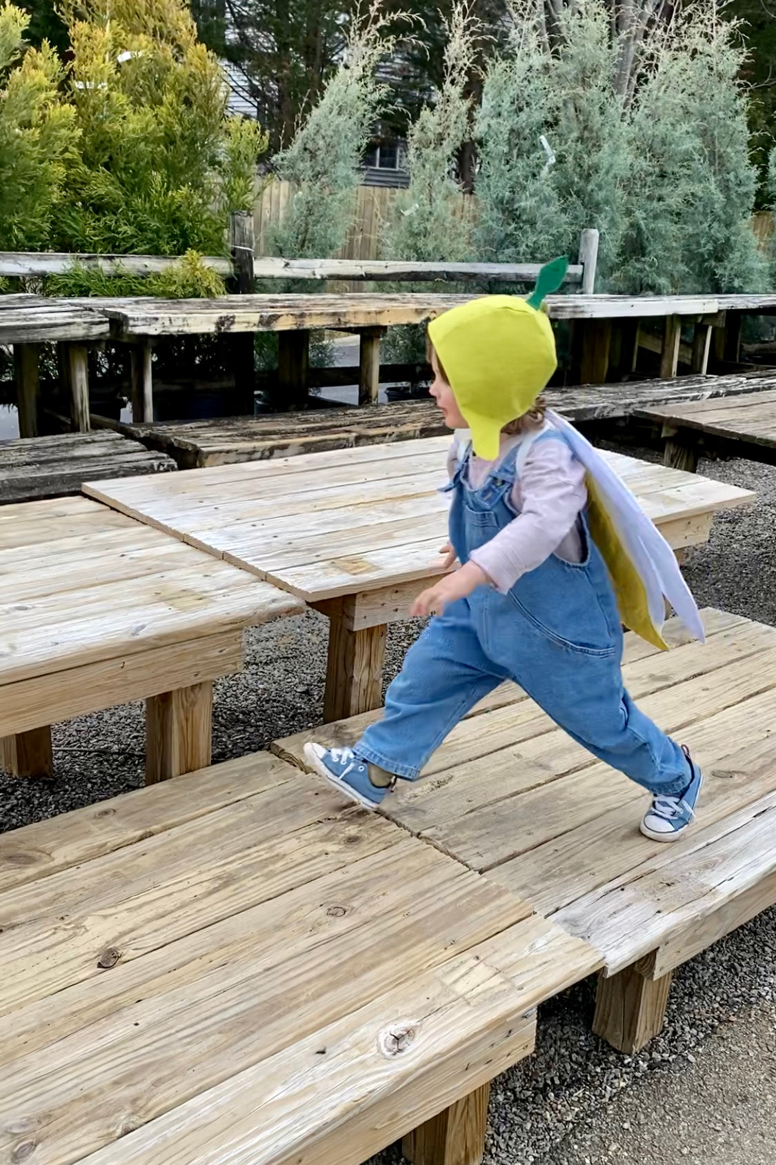 Playing dress up at the garden store wearing a leaf costume hat.