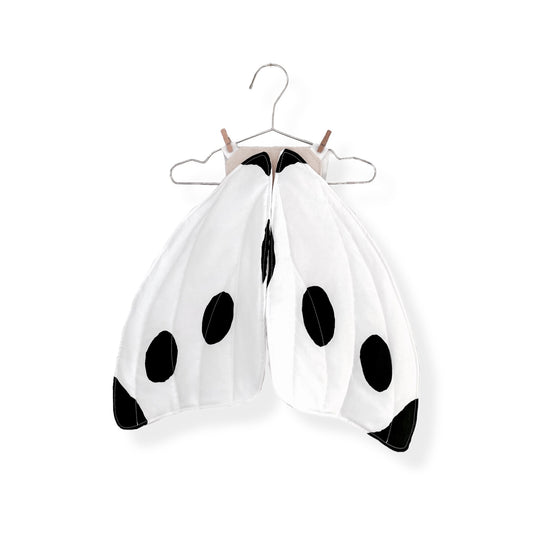 Kids butterfly wings for Waldorf toy trunks.